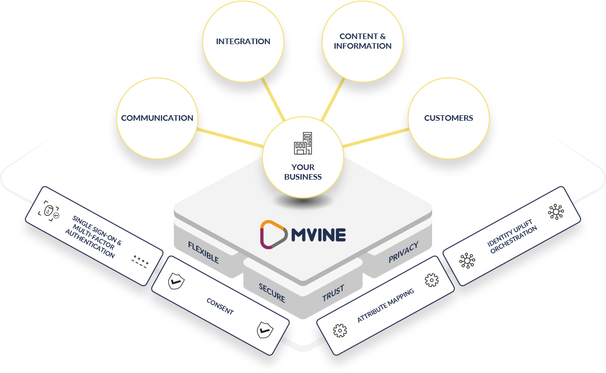 Mvine - Ecosystems of Business