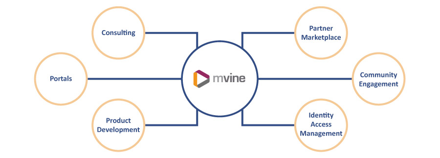 Mvine Identity Management Company Structure Mvine Identity Management Company Structure